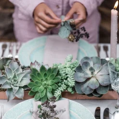 Brushed Copper Tray -Garden & Outdoors pr2000034036 card3 lg