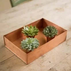Brushed Copper Seed Tray -Garden & Outdoors pr2000034042 card4 lg
