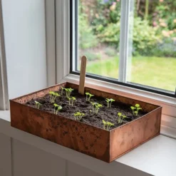 Brushed Copper Seed Tray -Garden & Outdoors pr2000034042 card6 lg