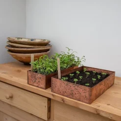 Brushed Copper Seed Tray -Garden & Outdoors pr2000034042 card7 lg