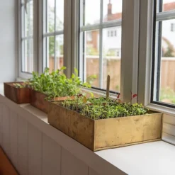 Brushed Brass Seed Tray 12 Brushed Brass Seed Tray -Garden & Outdoors pr2000034043 card4 lg