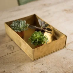 Brushed Brass Seed Tray 14 Brushed Brass Seed Tray -Garden & Outdoors pr2000034043 card6 lg