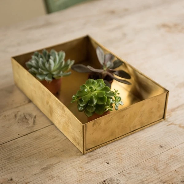 Brushed Brass Seed Tray 6 Brushed Brass Seed Tray - Image 6