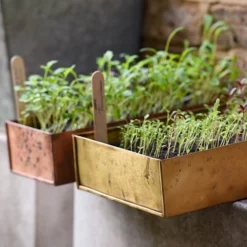 Brushed Brass Seed Tray 16 Brushed Brass Seed Tray -Garden & Outdoors pr2000034043 card8 lg