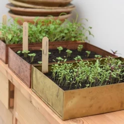 Brushed Brass Seed Tray 17 Brushed Brass Seed Tray -Garden & Outdoors pr2000034043 card9 lg