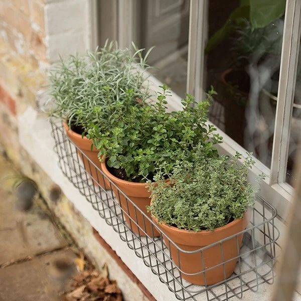Pot Window Basket 2 Pot Window Basket - Image 2