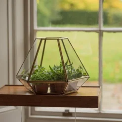 Terrarium With Brass Base Tray -Garden & Outdoors pr2000034059 card3 lg