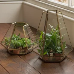 Terrarium With Brass Base Tray -Garden & Outdoors pr2000034059 card6 lg
