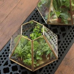 Terrarium With Brass Base Tray -Garden & Outdoors pr2000034059 card7 lg