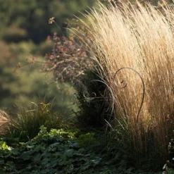 Border Scroll Hook Stake - Large -Garden & Outdoors pr2000034064 card4 lg