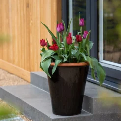 Glazed Terracotta Pot - Black 19 Glazed Terracotta Pot - Black -Garden & Outdoors pr2000034127 card11 lg