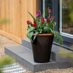 Glazed Terracotta Pot - Black 12 Glazed Terracotta Pot - Black -Garden & Outdoors pr2000034127 card3 lg