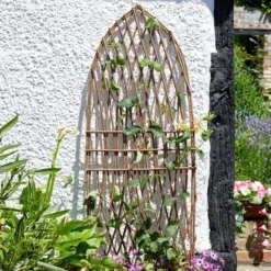 Minster Willow Trellis - Gothic