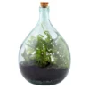 Plant Terrarium Bottle 15 Litre Set