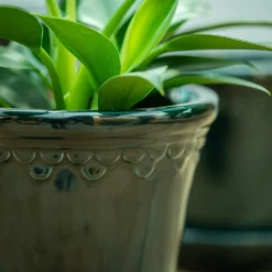 Scalloped Tapered Plant Pot With Saucer - Dark Blue -Garden & Outdoors pr2000035580 card4 lg