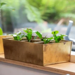 Brass Tray With 6 Brass Grow Pods -Garden & Outdoors pr2000037485 card4 lg