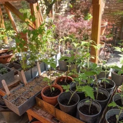 Galvanised Tray With 12 Grow Pods -Garden & Outdoors pr2000037486 card6 lg