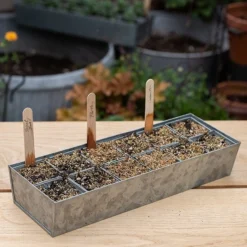 Galvanised Tray With 12 Grow Pods -Garden & Outdoors pr2000037486 card7 lg