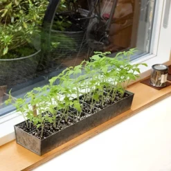 Galvanised Tray With 16 Grow Pods -Garden & Outdoors pr2000037487 card7 lg