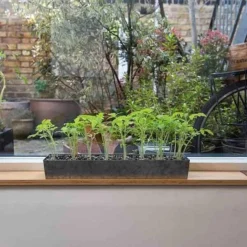 Galvanised Tray With 16 Grow Pods -Garden & Outdoors pr2000037487 card8 lg