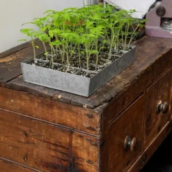 Galvanised Tray With 24 Grow Pods -Garden & Outdoors pr2000037488 card5 lg