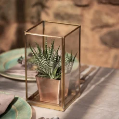 Simple Terrarium / Tealight Holder With Tray Base -Garden & Outdoors pr2000037497 card4 lg