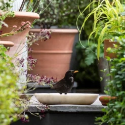 Turned White Marble Bird Bowl -Garden & Outdoors pr2000037501 card5 lg