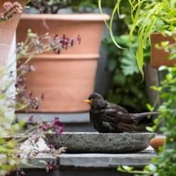 Turned Green Marble Bird Bowl -Garden & Outdoors pr2000037502 card5 lg