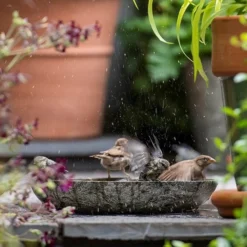 Turned Green Marble Bird Bowl -Garden & Outdoors pr2000037502 card7 lg