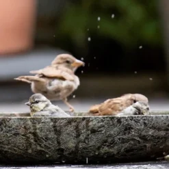 Turned Green Marble Bird Bowl -Garden & Outdoors pr2000037502 card8 lg