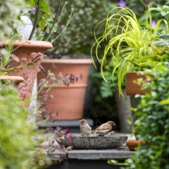 Turned Green Marble Bird Bowl -Garden & Outdoors pr2000037502 card9 lg