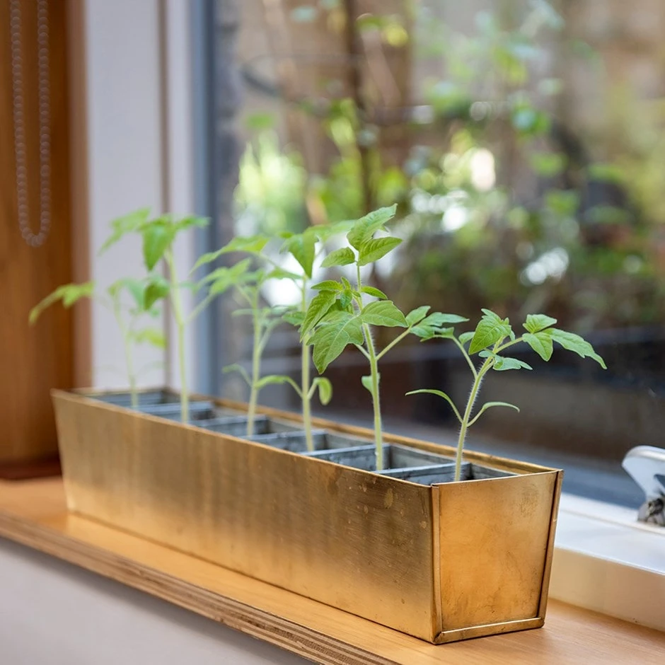 Brass Windowsill Tray With 6 Grow Pods 1 Brass Windowsill Tray With 6 Grow Pods
