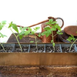 Brass Windowsill Tray With 6 Grow Pods 13 Brass Windowsill Tray With 6 Grow Pods -Garden & Outdoors pr2000037506 card6 lg