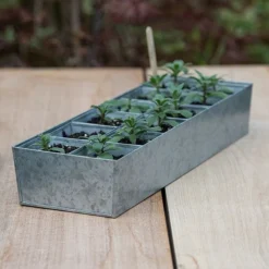 Galvanised Tray With 12 Large Grow Pods -Garden & Outdoors pr2000037508 card3 lg