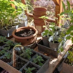 Galvanised Tray With 12 Large Grow Pods -Garden & Outdoors pr2000037508 card7 lg