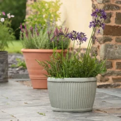 Oval Zinc Dolly Tub Pot -Garden & Outdoors pr2000037524 card3 lg