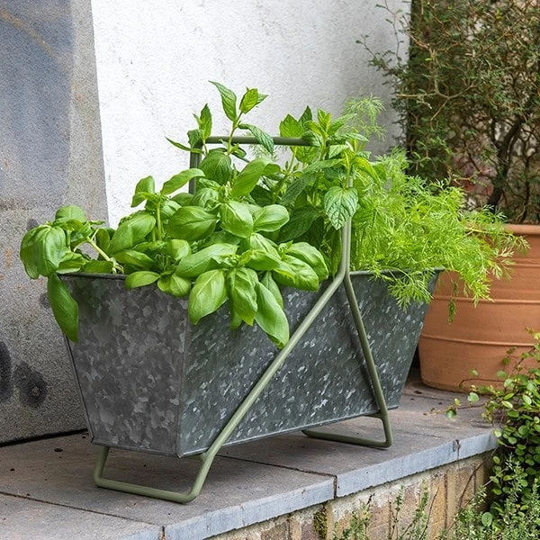 Portable Planting Trough - Crocus Green Frame 2 Portable Planting Trough - Crocus Green Frame - Image 2