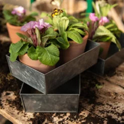 Grow Trays Portrait - Set Of 3