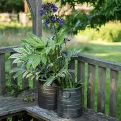 Galvanised Cylinder Pot -Garden & Outdoors pr2000037551 card3 lg