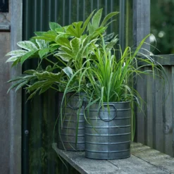 Galvanised Cylinder Pot -Garden & Outdoors pr2000037551 card4 lg