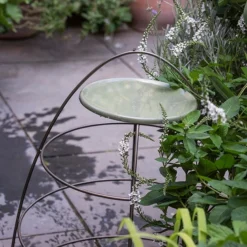 Plant Support With Bird Bowl - Crocus Green -Garden & Outdoors pr2000037555 card4 lg