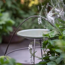 Plant Support With Bird Bowl - Crocus Green -Garden & Outdoors pr2000037555 card5 lg