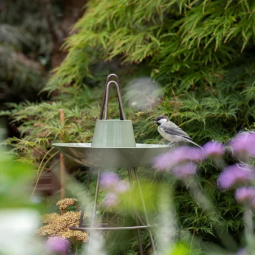 Sweet Pea Obelisk With Bird Bowl - Crocus Green 2 Sweet Pea Obelisk With Bird Bowl - Crocus Green -Garden & Outdoors pr2000037556
