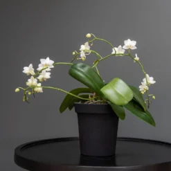 Charcoal Metal Plant Pot Cover With Enamel Interior 9 Charcoal Metal Plant Pot Cover With Enamel Interior -Garden & Outdoors pr2000037568 card4 lg