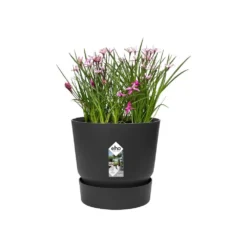 Greenville Round Pot Black 6 Greenville Round Pot Black -Garden & Outdoors pr2000038224 card3 lg