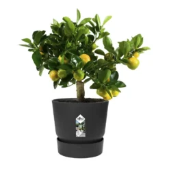 Greenville Round Pot Black 7 Greenville Round Pot Black -Garden & Outdoors pr2000038224 card4 lg