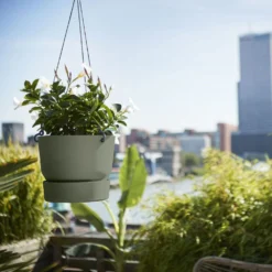 Greenville Hanging Basket Green -Garden & Outdoors pr2000038231 card3 lg