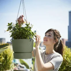 Greenville Hanging Basket Green -Garden & Outdoors pr2000038231 card4 lg