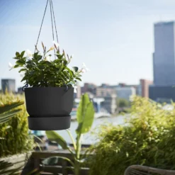 Greenville Hanging Basket Black -Garden & Outdoors pr2000038232 card3 lg