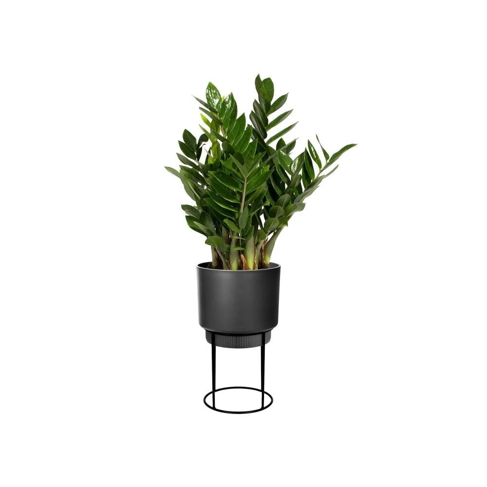 Matt Black Planter With Stand 2 Matt Black Planter With Stand - Image 2